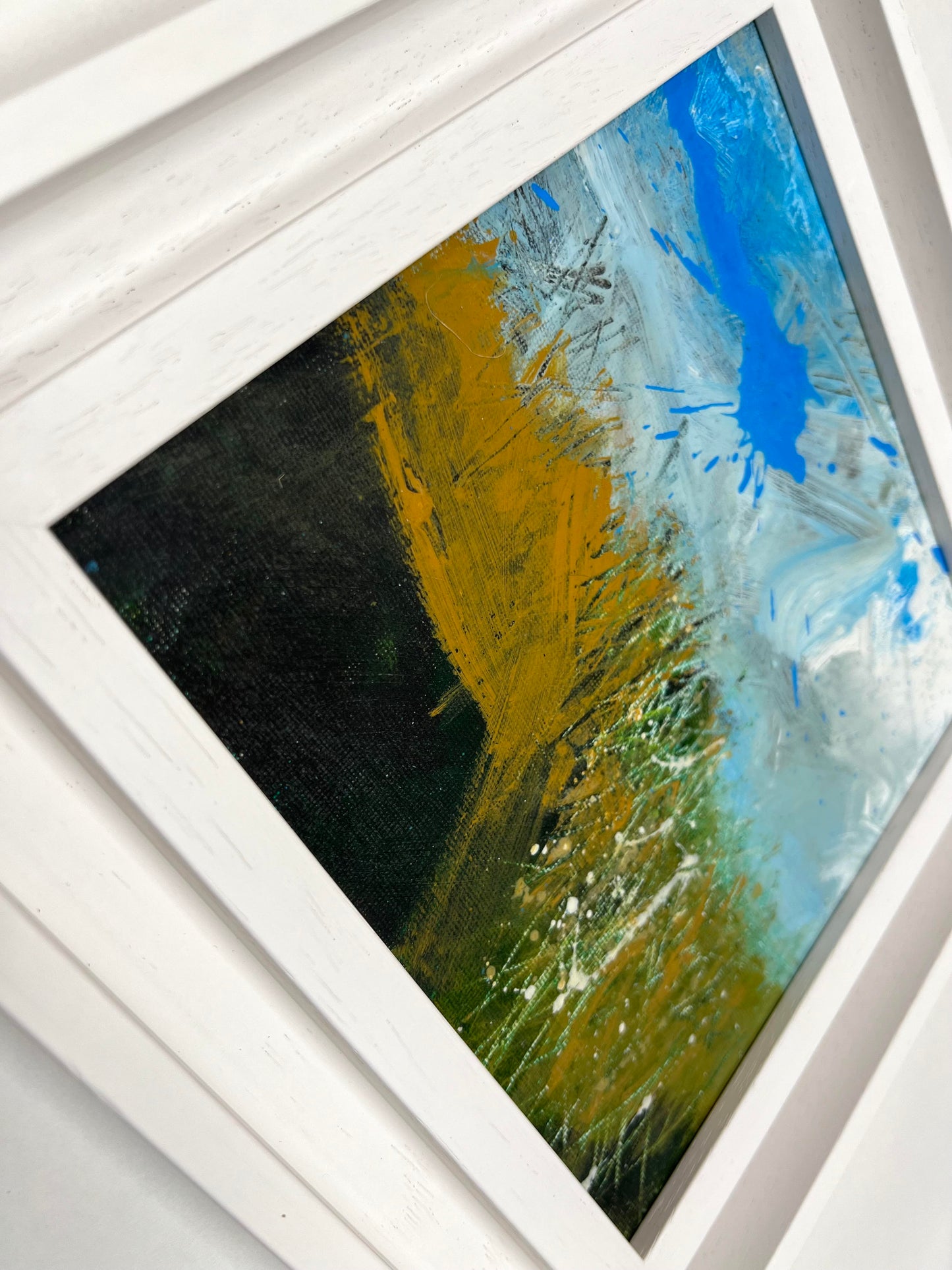 Seedheads and Shadows